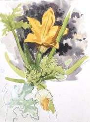 Courgette flower, Whiddon