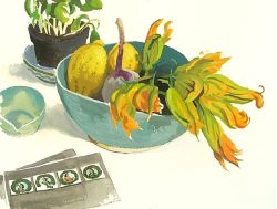 Courgette flowers, Castiglione