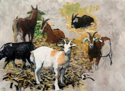 Goats, Wortham Manor