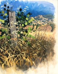 Nova Siri, Basilicata